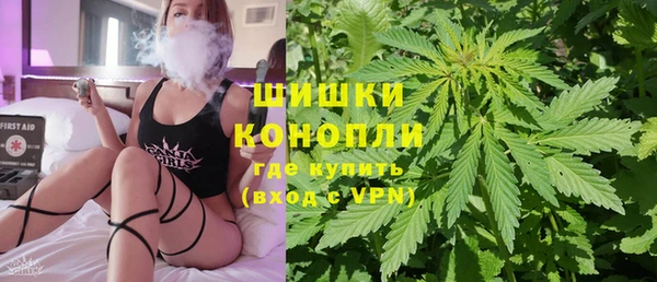 спиды Магас