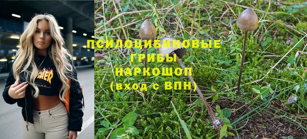 спиды Магас