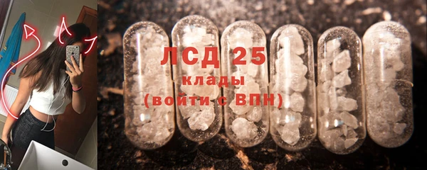 спиды Магас